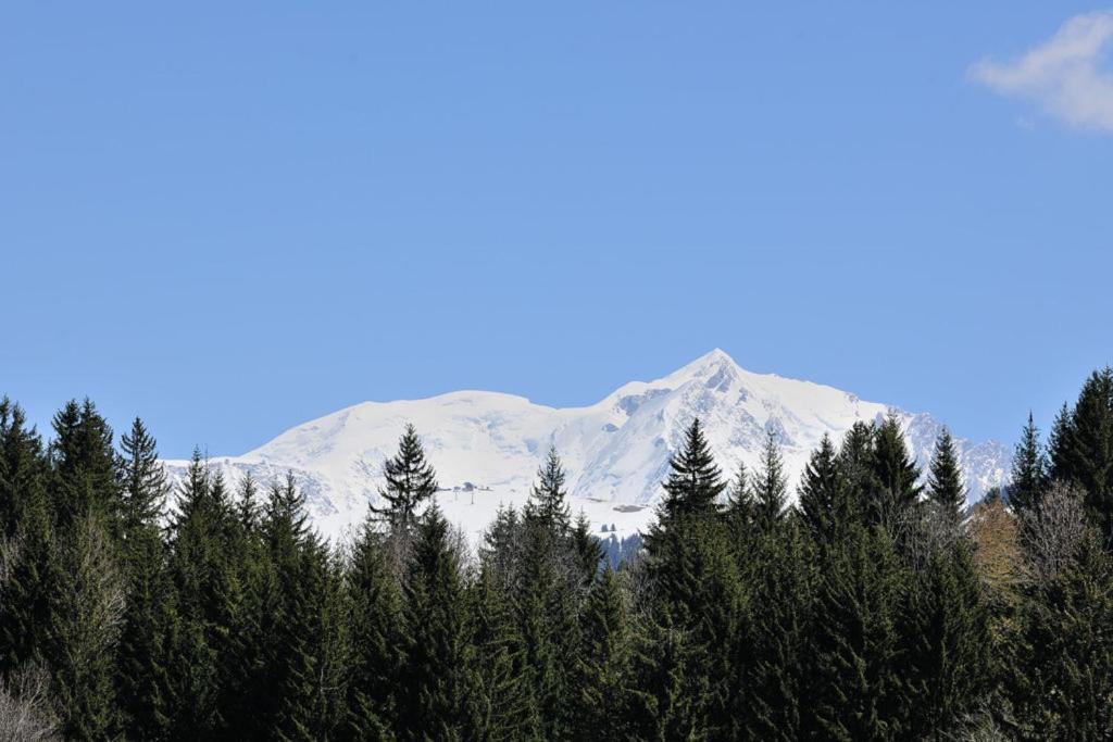 Chalet Le Prariand - Megeve Luaran gambar
